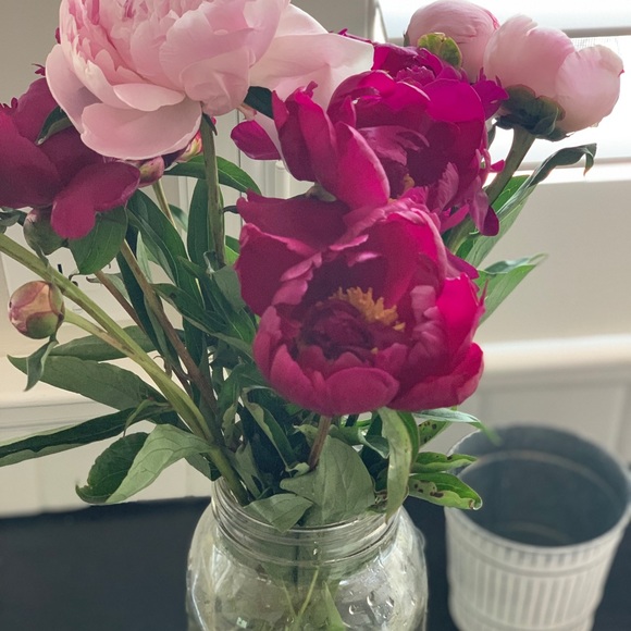 Meet your Posher, Erin - Picture 1 of 1